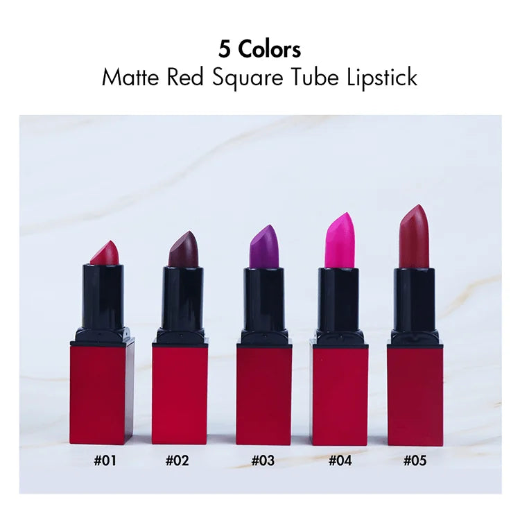 5 Colors Make Your Own Logo Cosmetic Makeup Waterproof Long Lasting Matte Private Label Christmas Lip Stick Square Tube Lipstick